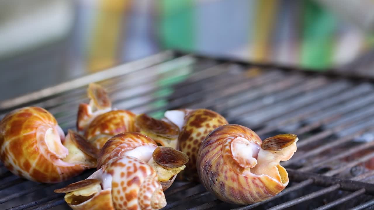 Close-up of skewered meats and snails grilling over charcoal with steaming vegetables nearby.