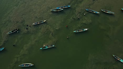 aerial drone shot of an island oasis with coconut tree-lined villages in udupi