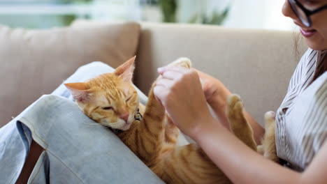 mujer jugando con un gato