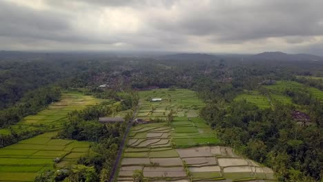 big sky over bali ricefield