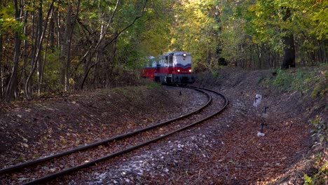 railway in the woods budapest, hungary