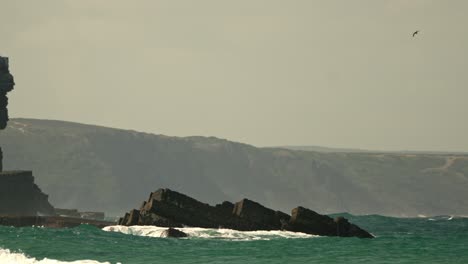 Bird-flying-high-over-rocks-and-crashing-waves-along-the-coast-on-a-sunny-morning