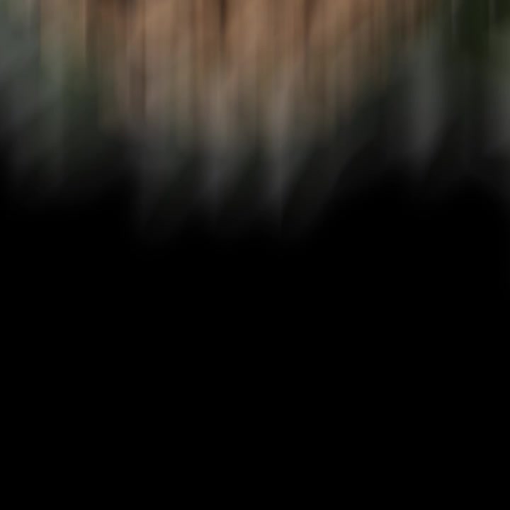Blurred plant on black background