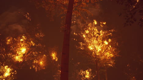 incendio forestal por la noche