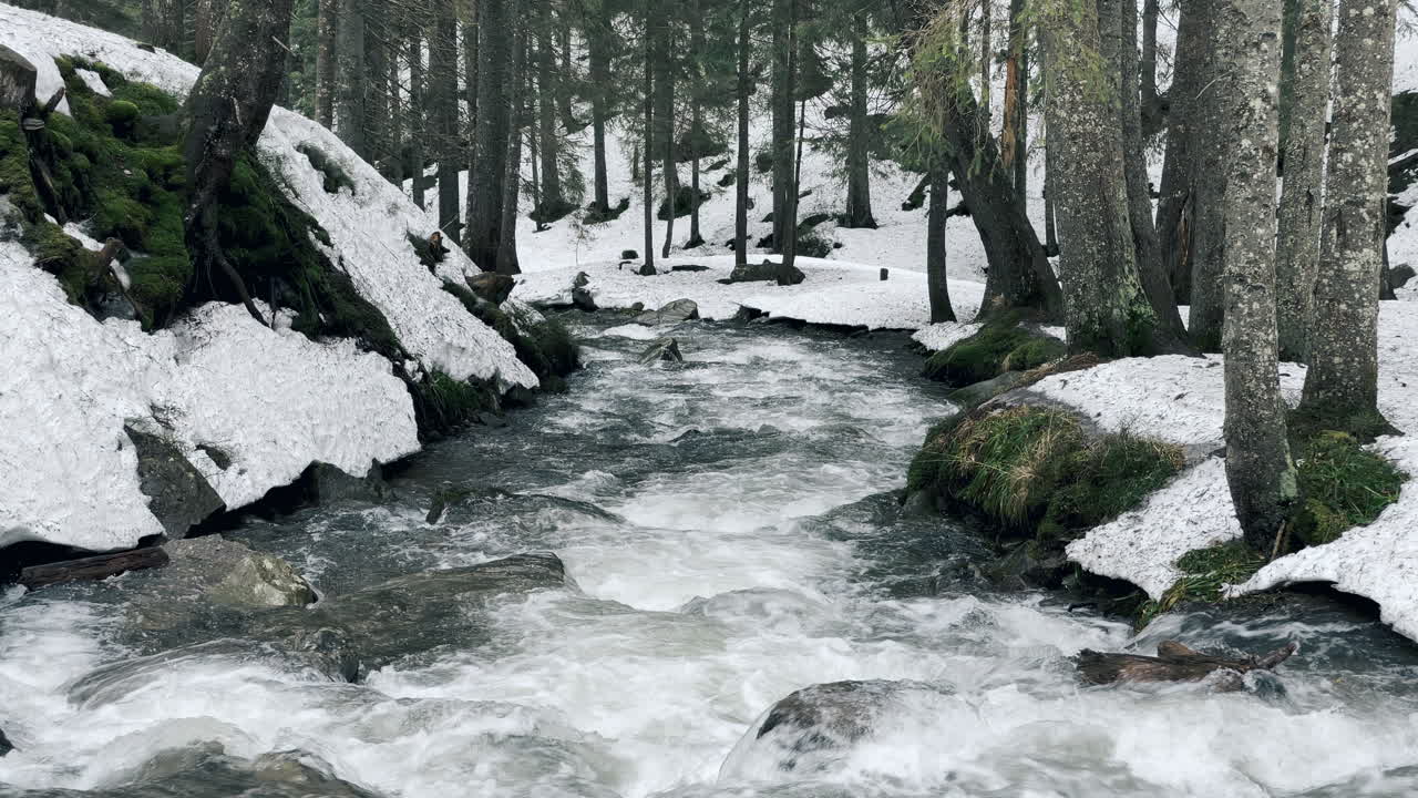 Fast river flow with stone rapids in winter forest. Cold water in ...