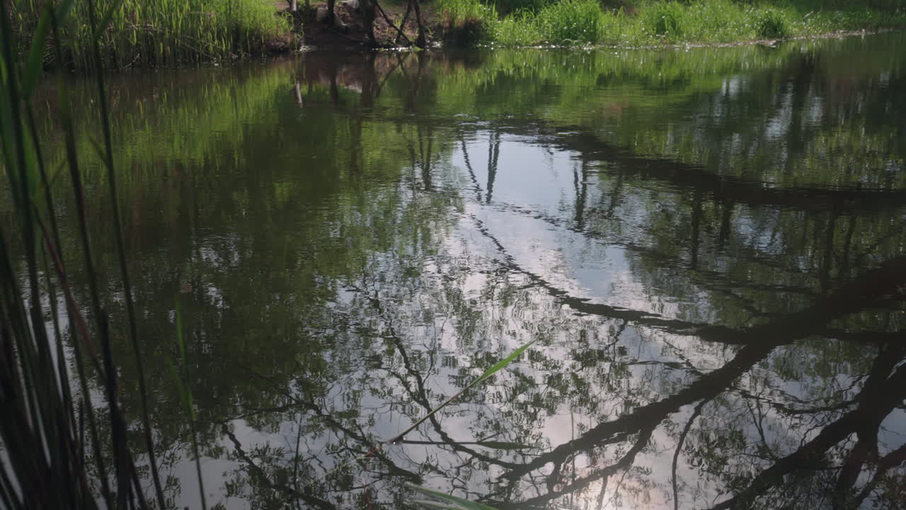 el encanto encantador de un pequeño puente de madera suspendido sobre un río sereno en un exuberante bosque verde durante una tranquila mañana soleada