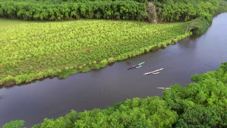 vista aérea de kayaks en el río hawaiano