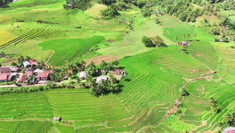 aerial view of the vibrant green cadapdapan rice terraces in bohol, philippines, featuring layered fields, village homes, and tropical trees spread across the scenic mountainous countryside