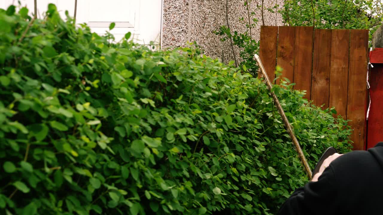 jardinero recortando setos de jardín con tijeras eléctricas disparo medio 4k cámara lenta