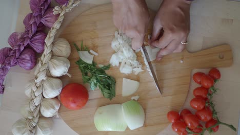 chopping onions and fresh vegetables on a cutting board