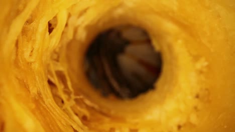 pulling back through interior of cored out gourd