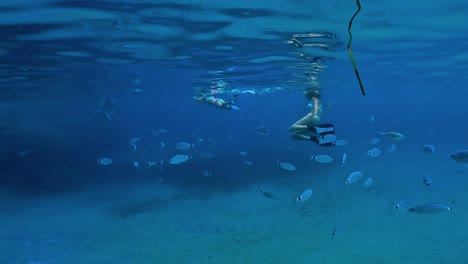 shoal of fish swims close to mother and daughter snorkeling underwater in deep blue sea