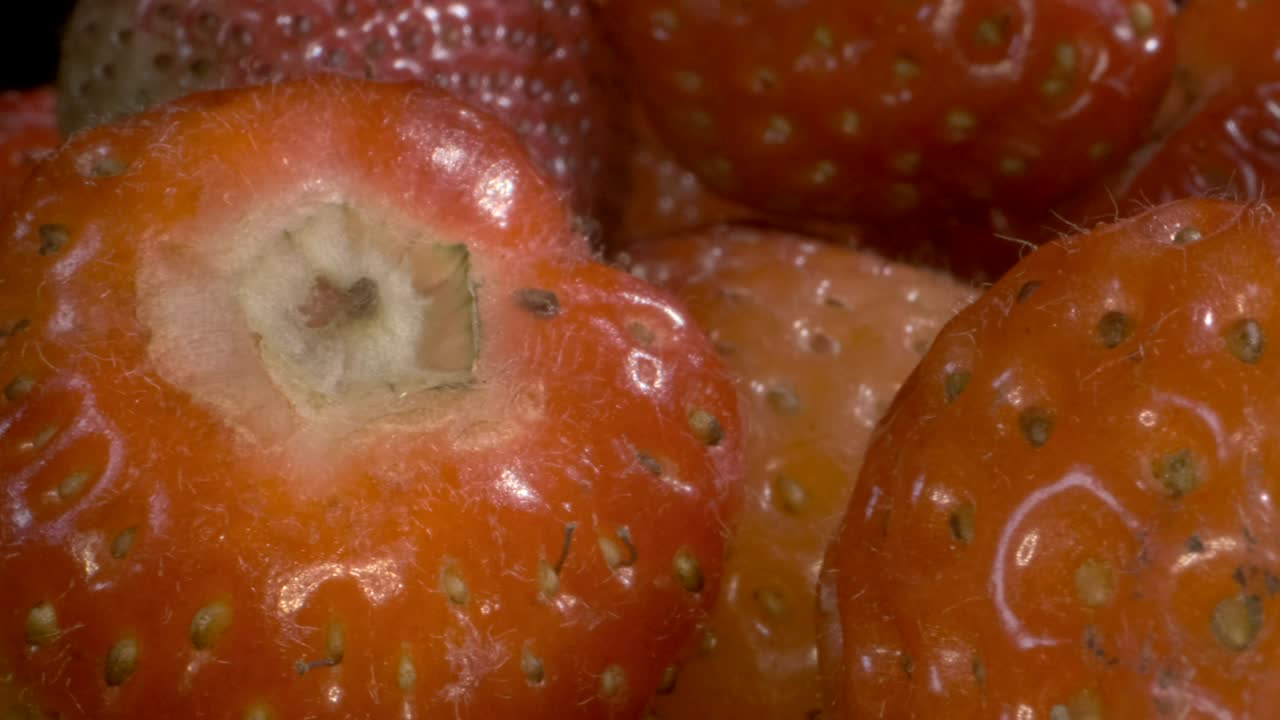 Rotazione di fragole rosse. Primo piano estremo, rotazione della telecamera a 360 gradi