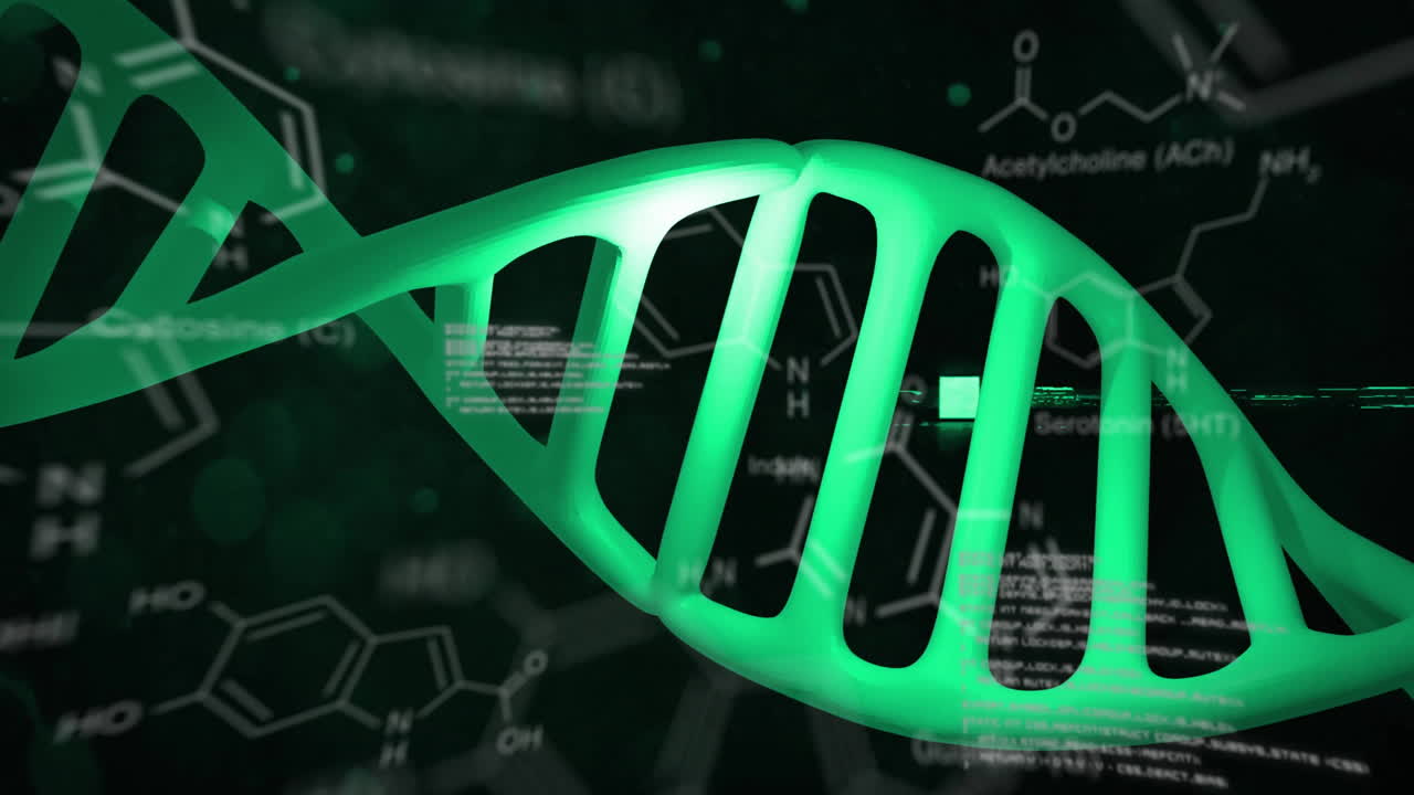 dna 가닥의 애니메이션과 데이터 처리