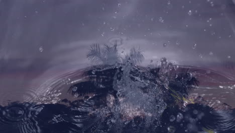 splashing droplets creating ripples, palm trees reflected in water, animation style