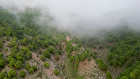 os picos cobertos de névoa da província de paktia