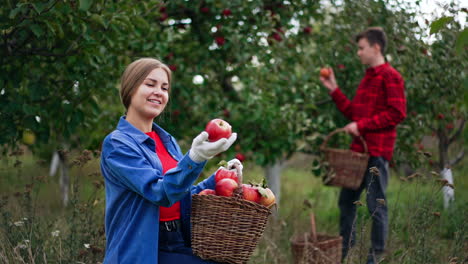 lady is happy about the harvest of red apples picked in the garden. she takes big apples from a basket and enjoys their view. boy at backdrop picks up fruit.