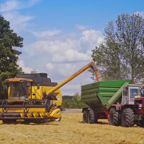 grain harvesting combine