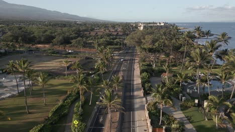 Aerial:-Palm-trees-line-coastal-highway-in-Kihei-on-island-of-Maui,-HI