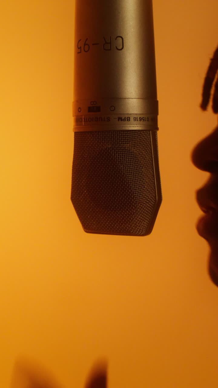 Close-up of a CR-65 Studio Microphone