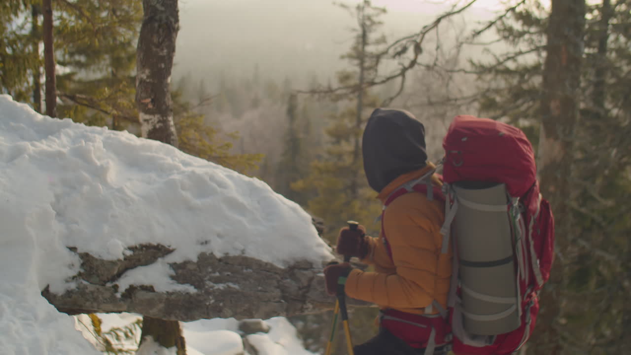 Tourist Enjoying View of Winter Mountains