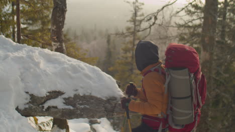 tourist enjoying view of winter mountains