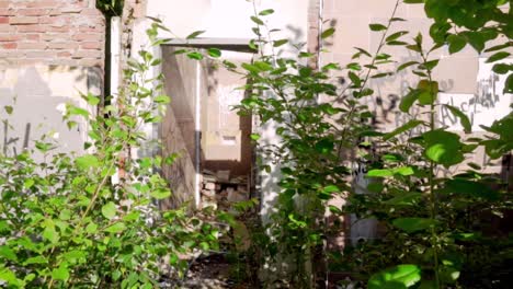 edificio abandonado cubierto de plantas