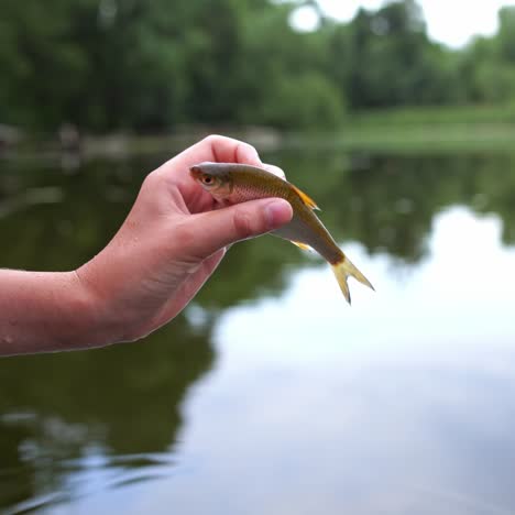 fish in woman hand