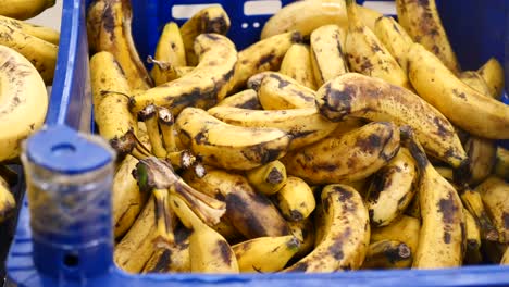bananas in a blue crate