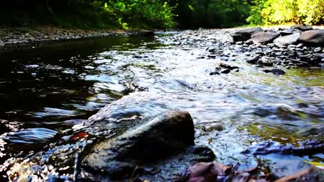 clean clear water flows from the moorman river through a man made rock dam in the albemarle county countryside of virginia