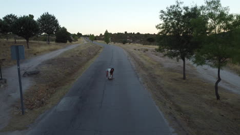 Aerial-tracking-shot-of-a-young-woman-riding-on-her-skateboard-in-the-middle-of-the-road