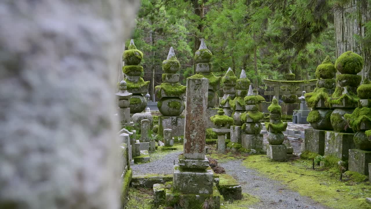 Slow motion reveal over overgrown temple grounds at Koyasan in Japan