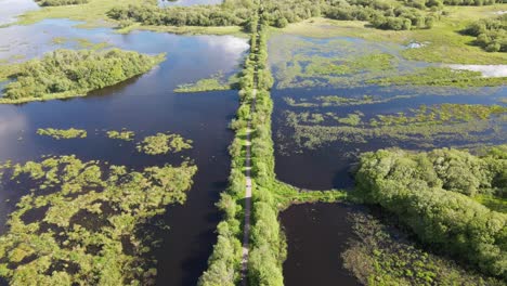 Sobre-El-Pantano-Y-El-Río-Sotavento-En-Marea-Alta-Con-Pasarela-En-Medio-Del-Río