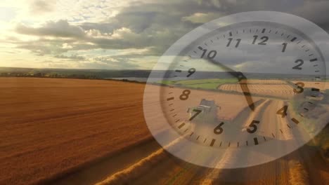 agricultural field with clock