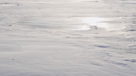 winter blizzard sweeps the frozen river, winter cold, winter background.