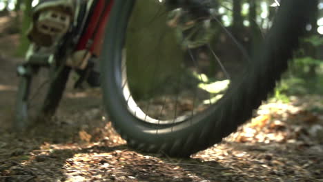 slow motion shot of man riding mountain bike through woods