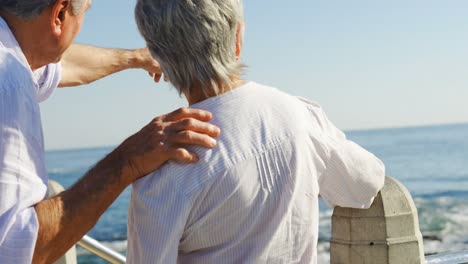 Senior-couple-interacting-while-standing-near-sea-side-4k