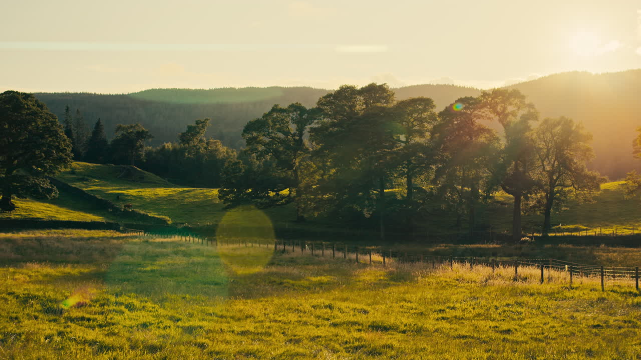 Prato da sogno all'ora d'oro nel Galles, Regno Unito, con dolci colline, alberi e recinzioni. Calda luce solare e bagliore dell'obiettivo su un tranquillo paesaggio di campagna