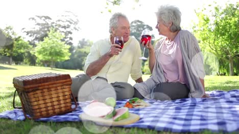 animation of lights over happy caucasian senior couple having picnic with wine on sunny day