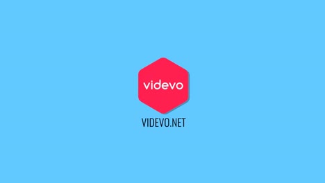 videvo logo variations