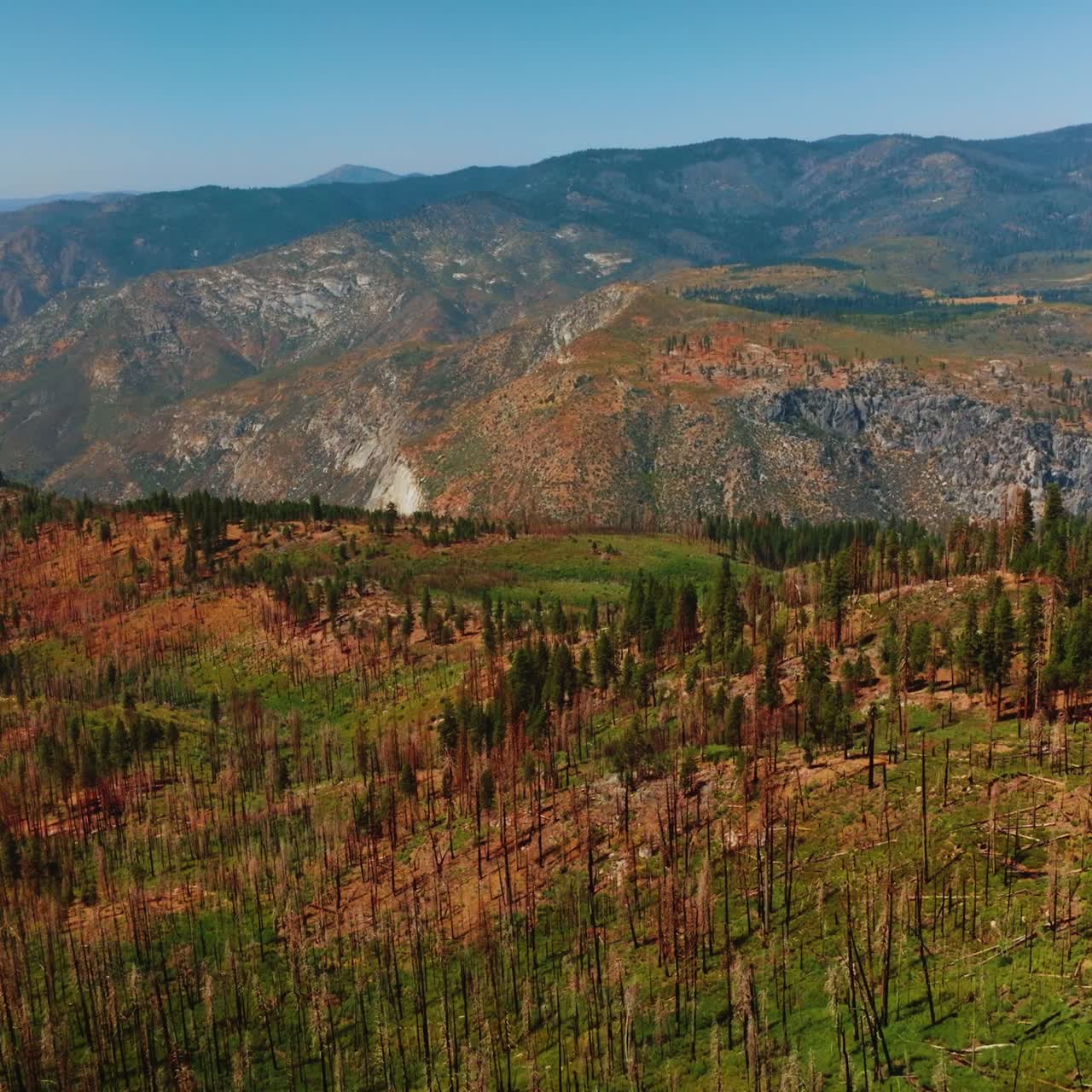 Rising above the mountains with scarce old pine trees and highway passing through the wood. Fascinating scenery of rocky landscape in Yosemite National Park, USA