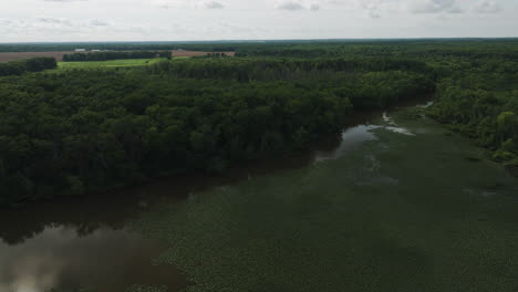 Pantano-Densamente-Cubierto-De-Plantas-Flotantes