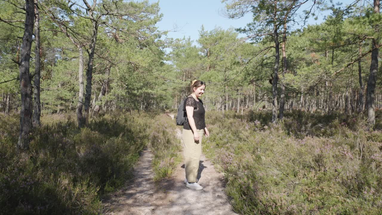 Sentiero forestale illuminato a Stilo, Polonia, con boschi lussureggianti su entrambi i lati