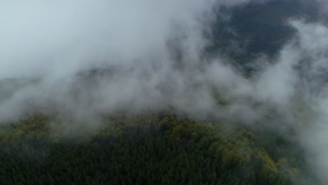 Aerial-drone-forward-moving-shot-over-fog-covering