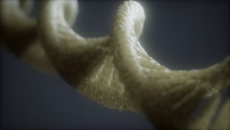 estructura en bucle de la animación de doble hélice de adn