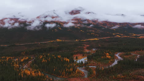 river flowing through a valley during autumn in yukon, canada - drone shot