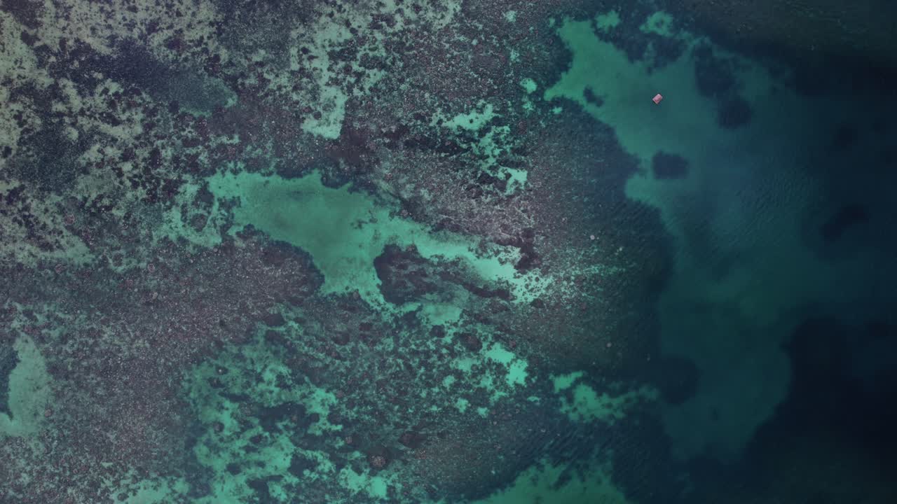 Aerial top-down shot of coral reef in clear blue water of phillipines