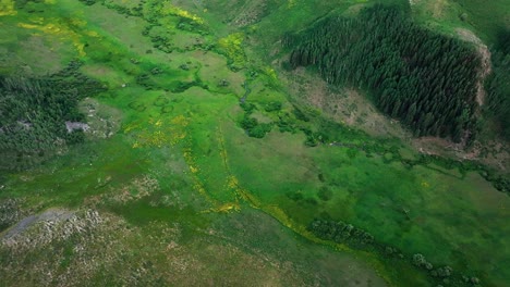 overhead view over green meadows and hills near the crested butte mountain, colorado, usa