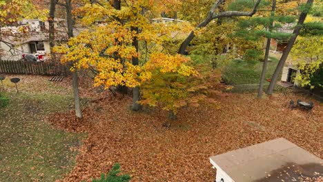 Cubierta-De-Hojas-Pesada-Y-Densa-A-Finales-De-Otoño