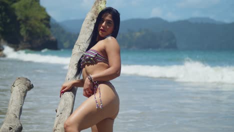 a girl in a bikini stands in a fallen log on the beach with ocean waves in the background